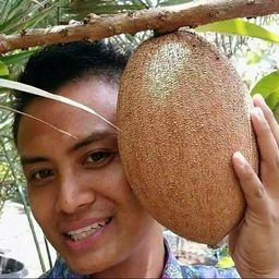 aldy1