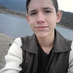 alemoon