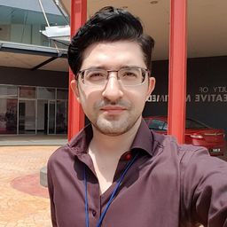 ali.feizollah