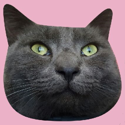 alicerxbbit69