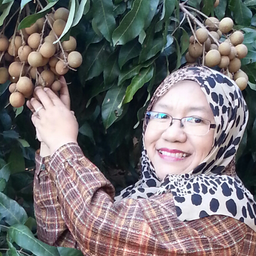 alimatunrosli