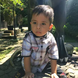 alphajr