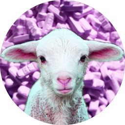 alprazo.lamb