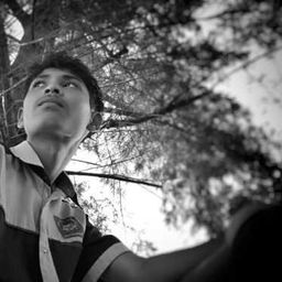 alsyad
