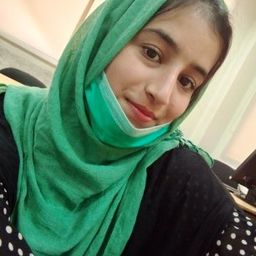 ameerbushra