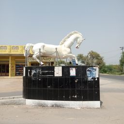 aminmalik