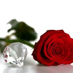 angelrose86