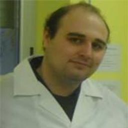aniello
