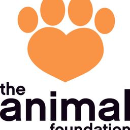 animalfoundation