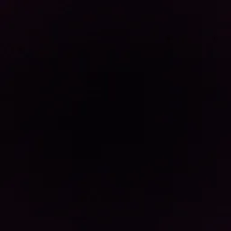 animator000