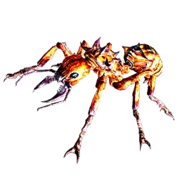 antdroid