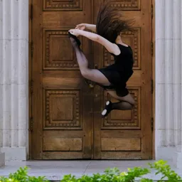 arialecha