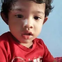 arkanalif