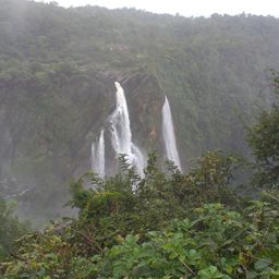 arunika
