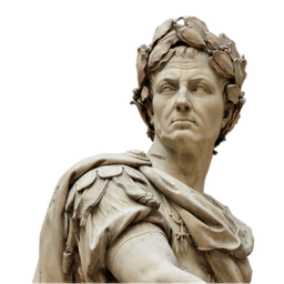 augustoarbusto