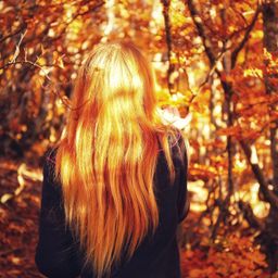 autumnleaf17
