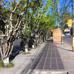basyco