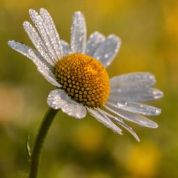 beautyinnature
