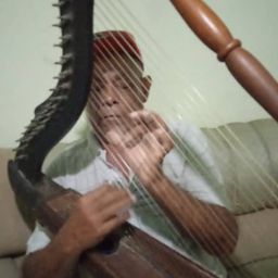 bernabeharp