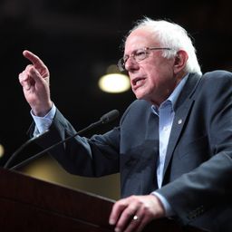 bernieisboss