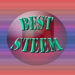beststeem11