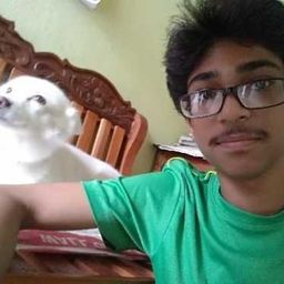 bhargava