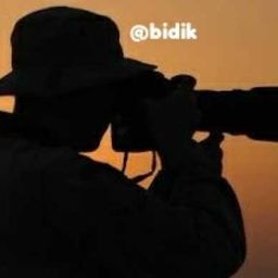 bidik