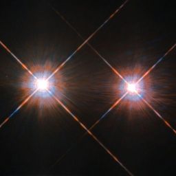 binaryspin