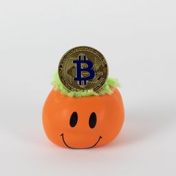 bitches