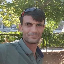 bitcointurkiye