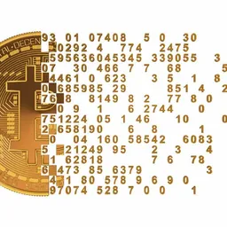 bitconsulting