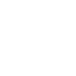 bitdegree