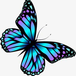 bluebutterfly