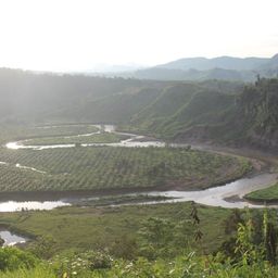 bodejo