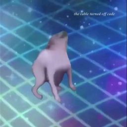 borkuntilyoudie