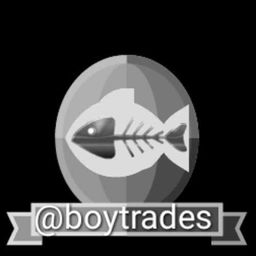 boytrades