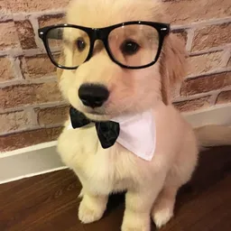 breadthegood