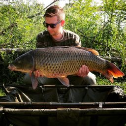 carping
