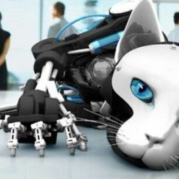 cat.bot.steemit