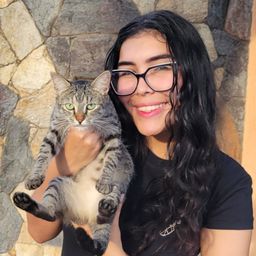 catsofhive