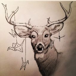 ceilingghost