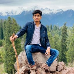 chauhandiary