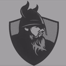 chillyviking
