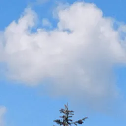 chriscst