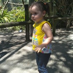 cicixrose