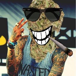 cogollow
