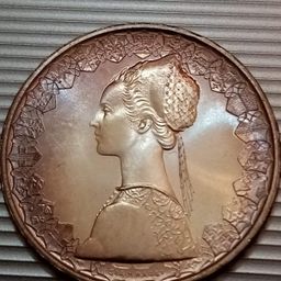 coin.collector