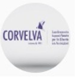 corvelva