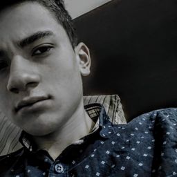 crisgar