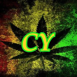 crypto-yardie